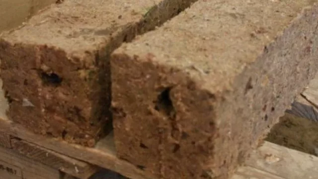 Ecoleños: un proyecto sustentable que nació en Chos Malal