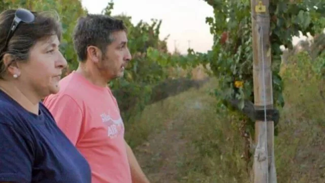 Los vinos de “Puerta Oeste” fueron premiados junto a reconocidas bodegas del país