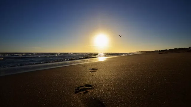 Mariano Uset: “Pretendo recibir a los turistas y que se vuelvan sanos a sus sitios de origen” 