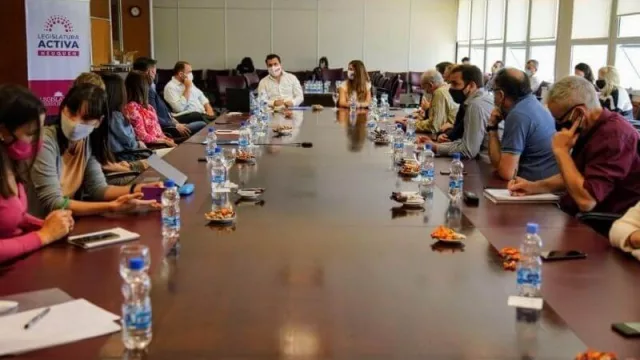 Darío Martínez detalló el nuevo Plan Gas.Ar en la Legislatura del Neuquén