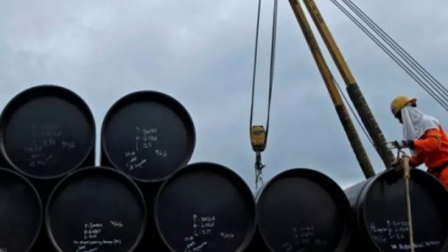 El bloque del MPN, junto a Siempre, Up, FNN y Juntos piden que Nación implemente el precio sostén del barril criollo fijado por decreto