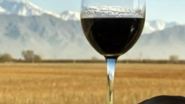 Las provincias de la región buscan defender la marca "Patagonia"