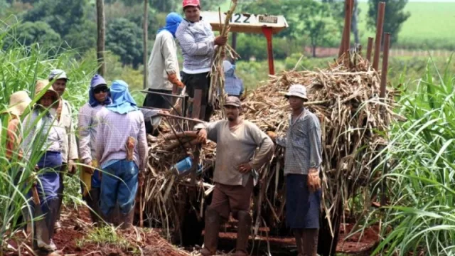 Ya están las inscripciones abiertas para el Intercosecha Azúcar (mirá los requisitos)