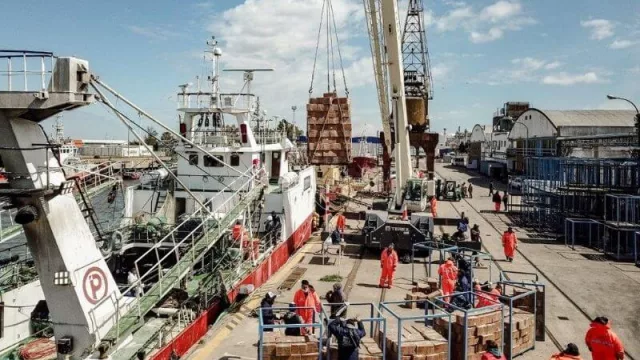 Con grandes volúmenes de descarga, se intensifica la actividad pesquera en el puerto local