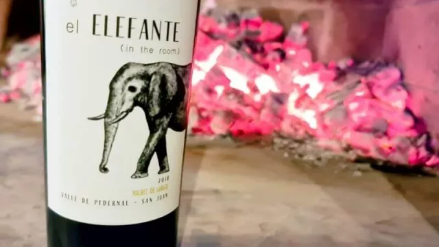 La enóloga que es furor por el vino “Garage” que produce en su casa