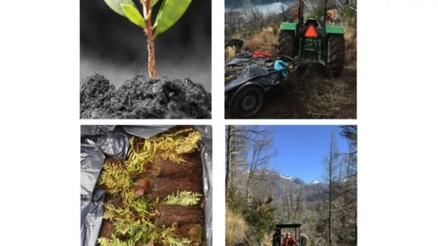 La Legislatura de Neuquén, PAE y la Asociación de Amigos de la Patagonia se unieron para desarrollar el "Programa Promotores Ambientales”