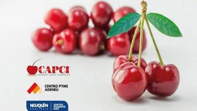 Cherry Day: Ya se encuentra habilitada la inscripción para la Jornada Nacional de Cerezas online 2020