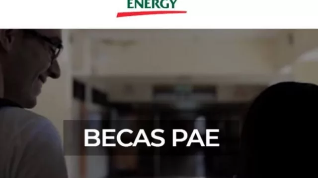 De Neuquén a los EE.UU: la compañía Pan American Energy lanzó una nueva convocatoria para estudiantes neuquinos