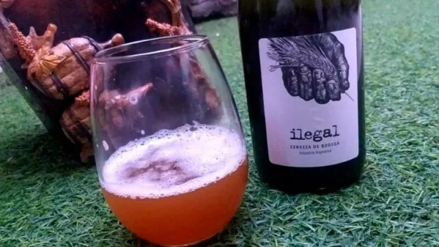 Ilegal, la cerveza mendocina que se parece a un champán
