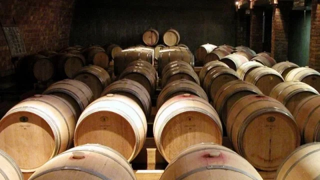 Turismo: capacitaron a las bodegas patagónicas en protocolos por COVID-19 (confianza y seguridad para lo que viene)