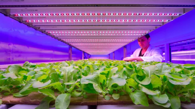 El futuro de la iluminación de la mano de Signify