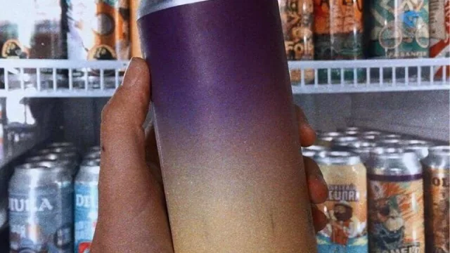 Neuquén ya tiene su primer servicio de enlatado de cerveza con habilitación nacional (una idea de Patagonia Canning Company)