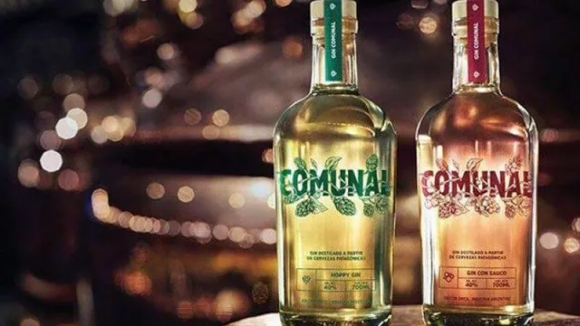 Cervecería Patagonia se anima all gin y lanza «Comunal»