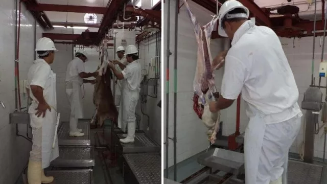 La Provincia del Chaco exportará más de 20 toneladas de cortes caprinos a Bahamas