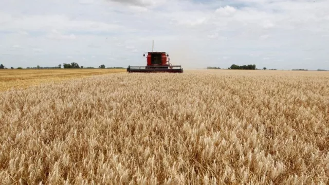 Proyectan u$s 18.000 millones de saldo a favor en el comercio internacional al cierre de 2020