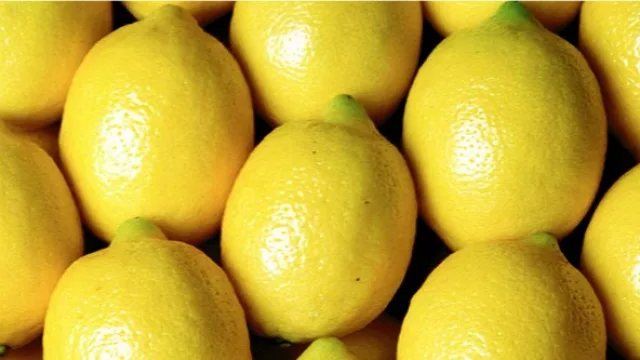 Fuerte impacto económico en Tucumán: ya no se exportará limones a Europa 