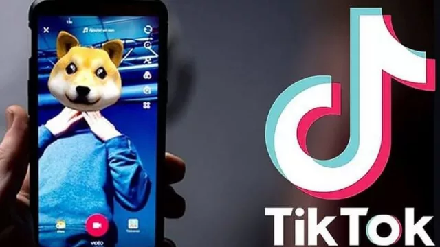 TikTok es la red social del momento y estará en el Social Media Day de Argentina (consejos para PyMES y empresas)