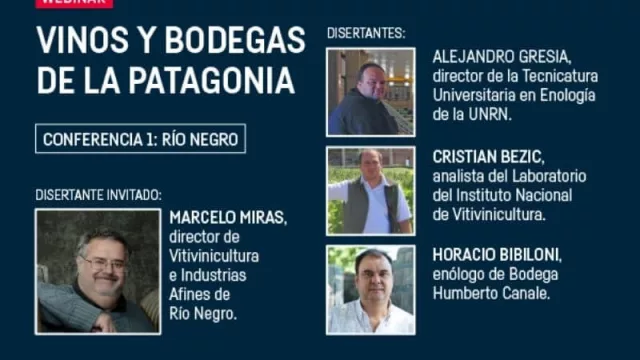 Cuatro conferencias virtuales de vinos y bodegas de Río Negro, Neuquén, Chubut y La Pampa