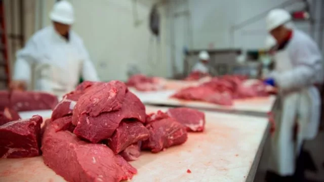 Más volumen de carne exportada, mejores ingresos y faena récord en mayo 
