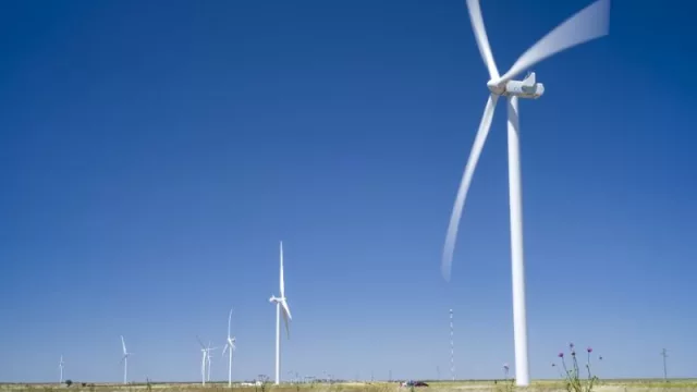 Un oso verde: Bimbo es la primera empresa de alimentos del país que produce con el 100% de energía eléctrica renovable