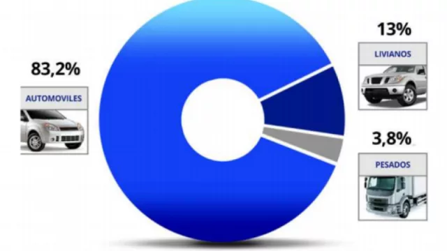 En Neuquén hay 300.000 vehículos "vivos" (el 2,1% del total del parque automotor del país)
