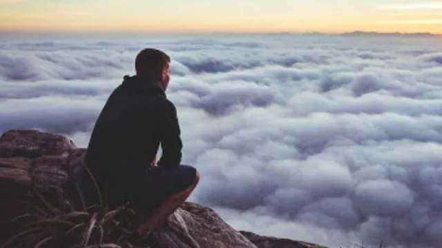 ¿Animal social? En Estocolmo más de la mitad de los hogares son unipersonales (35,4% en Buenos Aires)