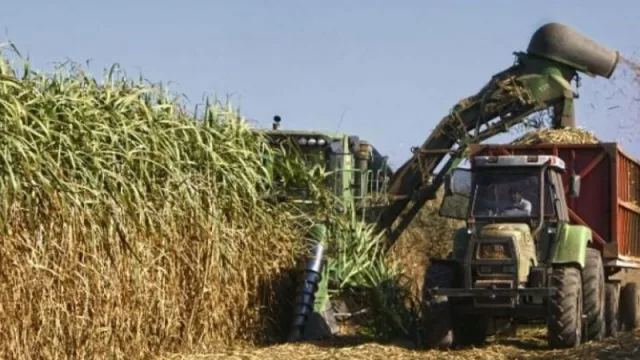 Cosecha 2020: por la pandemia se viene una logística especial para la zafra de Tucumán 