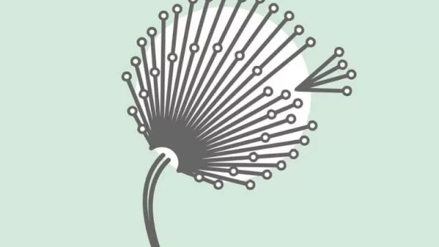 Medicina de la Longevidad: recursos terapéuticos y hábitos saludables para alcanzar el “bien vivir” en todas las edades