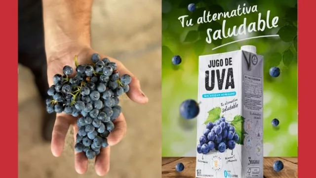 La vendimia uruguaya 2020 fue tan buena que salió hasta jugo de uva sin alcohol