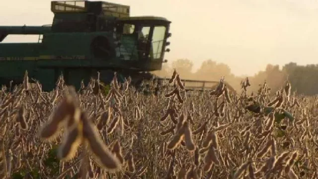 Una vez más, el agro, la industria de alimentos y bebidas y la administración pública empujarán la reactivación