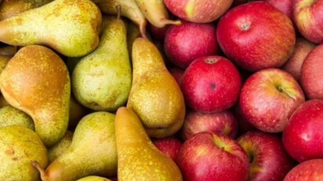 Fruticultores destacan compromiso antes de terminar la cosecha (batallan con empleo y dólares)