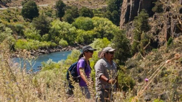 Formulario preventivo para prestadores y oficinas de Informes