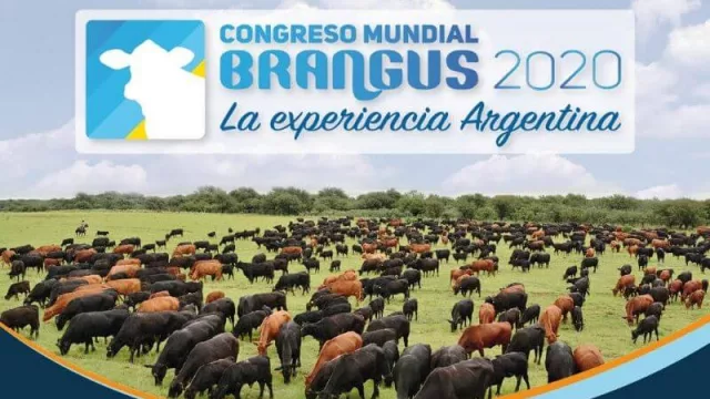 A causa del coronavirus, se pospone un año el Congreso Mundial Brangus de Corrientes