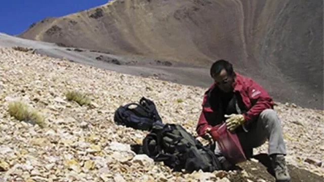 ¿Cuál fue la única provincia que generó empleo privado en 2019?