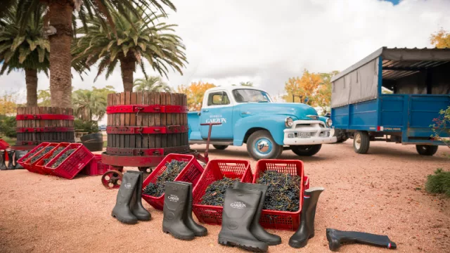 Bodega Garzón festeja la vendimia (con Francis Mallmann y sus siete fuegos por US$ 250)