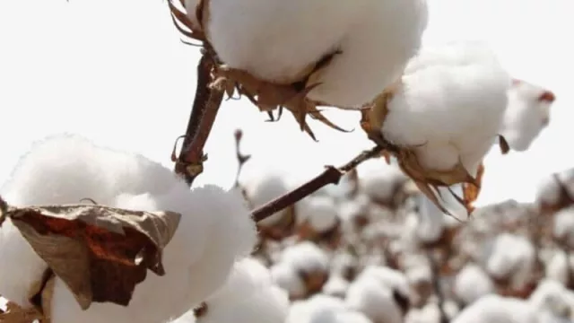 Se rubricó un convenio con el INTA para la confección del mapa de suelos del Chaco 