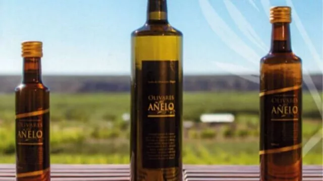 Olivares del Añelo ampliará su capacidad productiva con la implantación de 15 hectáreas