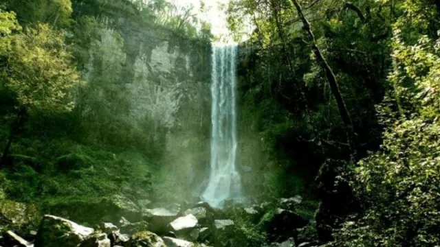 Misiones promocionará la provincia en la Feria Internacional del Turismo FITUR 2020