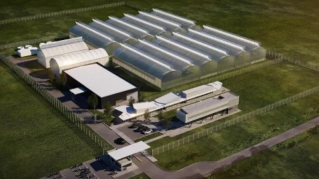 Khiron construye una planta de producción de cannabis de US$ 50.000.000