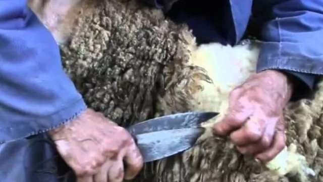 La Fiesta Provincial de la Lana y la Cueca cumple 29 años y lo festejará a lo grande