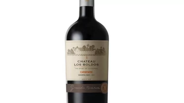 Vinos van, vinos vienen: Finca Flichman lanzó en Argentina los vinos del grupo Sogrape