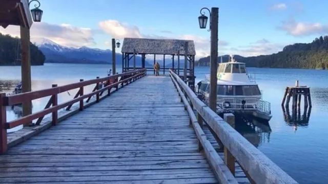 Las autoridades de Villa La Angostura desmintieron los rumores sobre la supuesta invasión de ratas