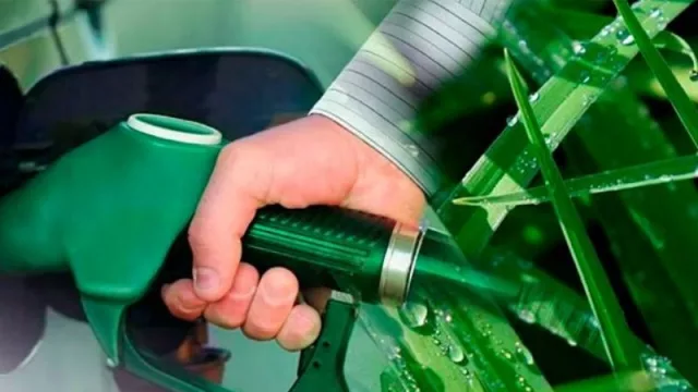 ¿Un proyecto de ley para incentivar la industria de los biocombustibles?