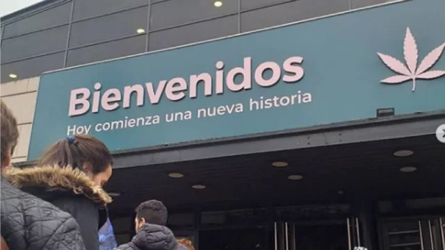 Desde dragones hasta cannabis: la exposiciones más raras (el año cierra flojito en eventos pero con pocas cancelaciones)