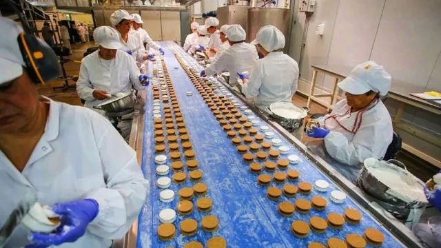Alfajor Grandote en extinción: cheques rebotados, créditos impagos y juicios laborales millonarios