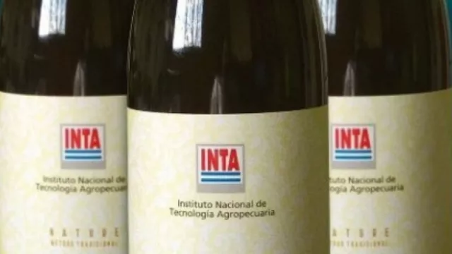 El INTA presentó un nuevo vino espumante con sabor 100% patagónico 