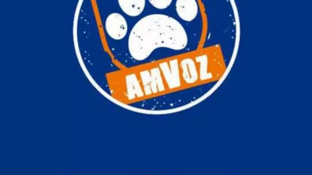 La aplicación de desarrollo local AmVoz fue premiada a nivel nacional (en las Jornadas Argentinas de Informática)