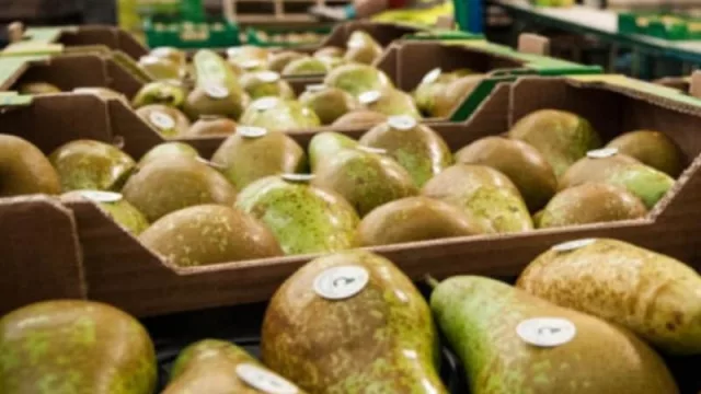 Piden que se declare la emergencia agropecuaria nacional 