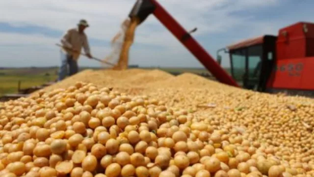 En caída: pese al aporte del campo, la actividad económica sigue cayendo