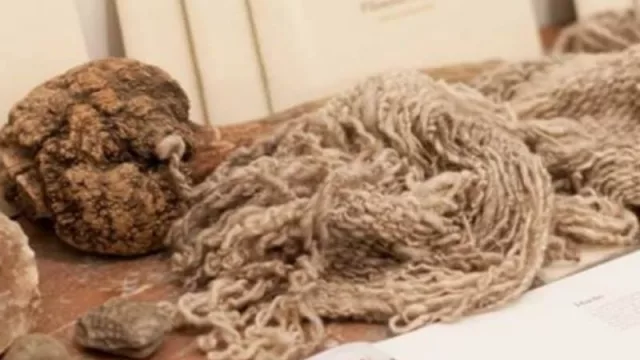 Presentarán la “Semana de las fibras naturales neuquinas” con un desfile en Buenos Aires